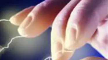 City’s’de Enerjinizi Bioenerji Uzmanı ile Keşfedin