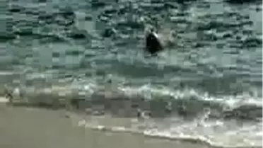 Alanyalılar Güneşin Tadını Çıkardıözel