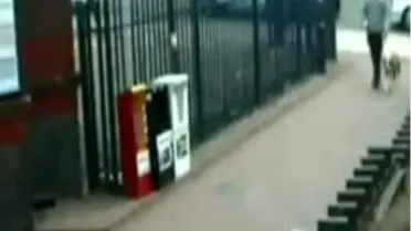 Pitbull Dehşeti Kamerada