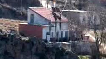 Vahşette Ölenler Toprağa Verildi