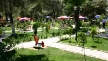 Siirt’te Bir Yaz Günü