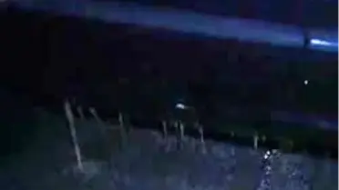 Bodrum'da Mucize Kurtuluş