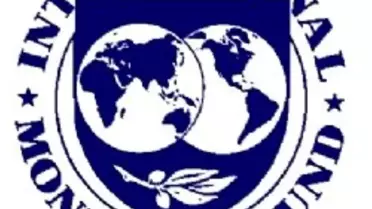 IMF'den Türkiye'ye Davos'tan Övgü
