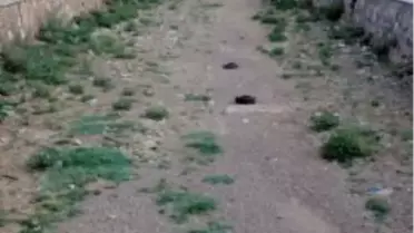 Rize'de Dereler Kurudu, Hes'ler Üretime Ara Verdi