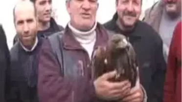 Otomobil Kartala Çarptı