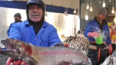 Ankara’da Balığın En Tazesı Var, Ancak