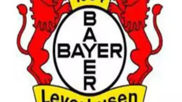 Bayer Leverkusen'de Ballack Yine Sakatlandı