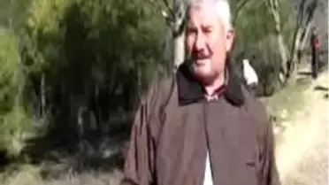 Kavaklıdere-Kurtlar Hayvanları Parçaladı