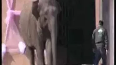 'İzmir' Güneşi Gördü