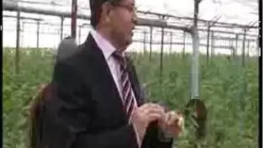 Alanya - Kaymakamdan Düdüklü Tencere