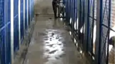 Elleriniz Kırılsın