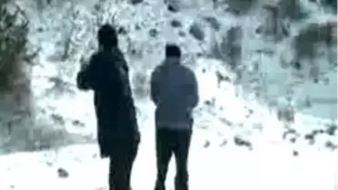 Yabani Hayvanlara Yiyecek Bıraktılar