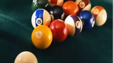 Şampiyonlar Yurda Döndü