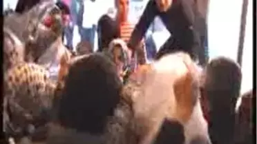 Tencere-Tava İzdihamı