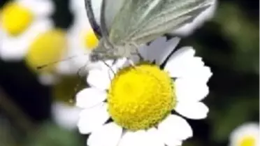 Havalar Isınmaya Devam Edecek