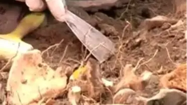 Erzurum'da Toplu Mezar Şüphesi