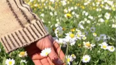 Baharı Bekleyenlere Müjde