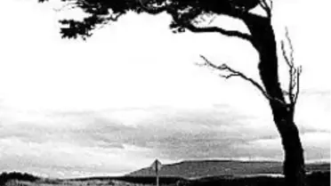 Türkiye Baharı Unuttu