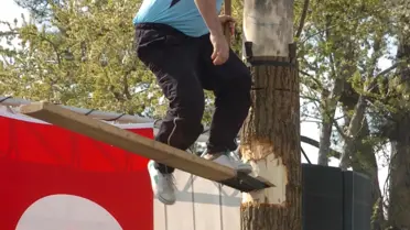 Baltalı, Testereli Sporcular