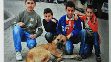 
Hayvan Sevgisi Karelere Yansıdı