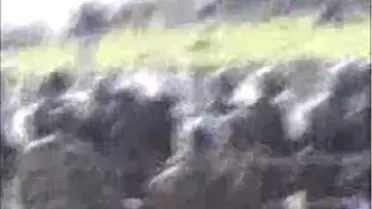 12 Yaşındaki Gülistan, Kardeşine Siper Olup Can Verdi