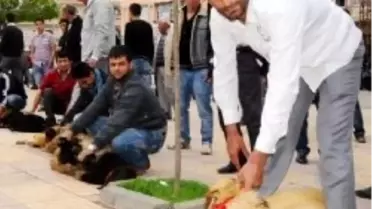 Midyat Belediye Başkanı Nasıroğlu, AK Parti'ye Geçti