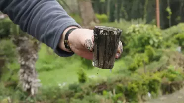 Sapanca Gölü Kıyısında Tedirgin Eden Siyah Tabaka