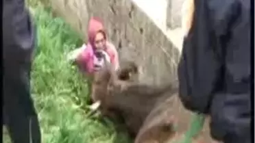 500 Kiloluk 'Keklik'i İtfaiye Kurtardı