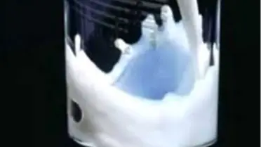 Tire’de 'Süt Bayramı'