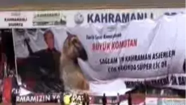 Mersin İdman Yurdu, Spor Toto Süper Lig'de