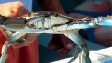 İhraç Eden 5 Bin Doları Verecek