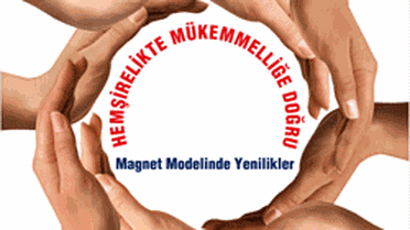 'Magnet Modelinde Yenilikler Hemşirelikte Mükemmeliği Doğru Sempozyumu'