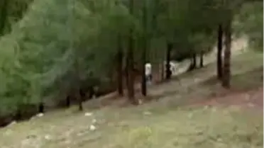 Kore Gazisi'ne Korkunç İnfaz