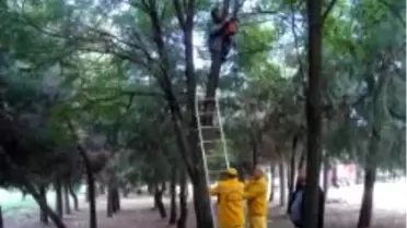 Gaziantep Orman İşletme Şefliğinin Basın Açıklamasıdır