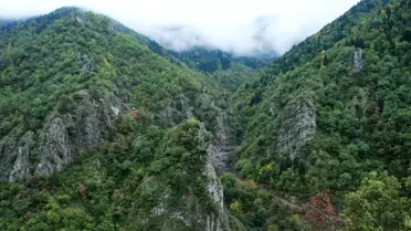 Tema Vakfı'ndan Kaçkarlar İçin Kampanya