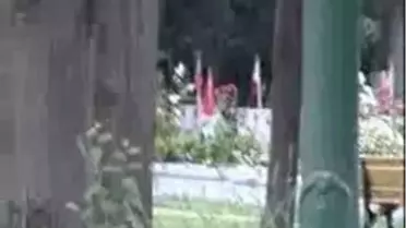 Buruk 'Babalar Günü'