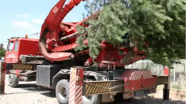 Ağaçlar Naklediliyor