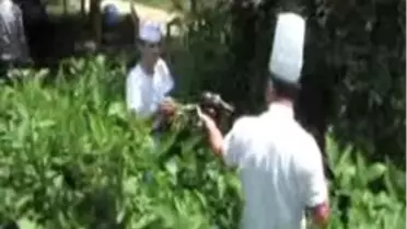 Turiste, Otel Bahçesinde Dalında Sebze Ve Meyve