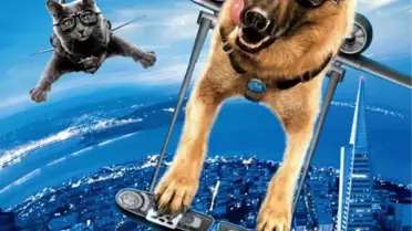 Kediler ve Köpekler: Kitty Galore’un İntikamı Filmi