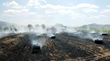 Çeltikçi'de Üzüm Bağları Yandı