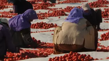 Acı Haberi Gurbette Öğrendiler