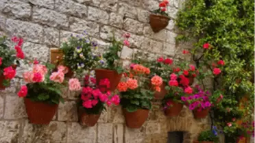 Şeker Bayram Tatili Toscana’da!