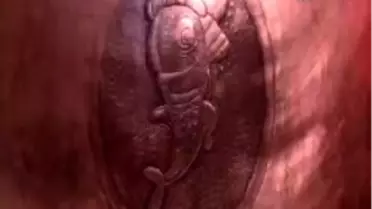 Tek Seferde 10 Bin Bardak Çay