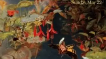 Chill-Out Festival Çeşme'de