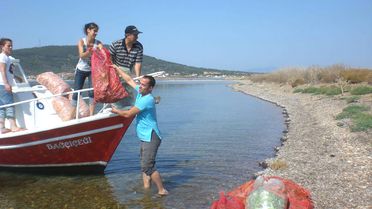 Hasır Adası'nda Açlıktan Telef Olan Tavşanlara Havuç