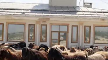 Şanlıurfa Havaalanı'na THK Talip