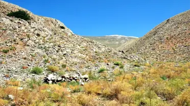 İhd'den Çatak'ta Toplu Mezar İddiası