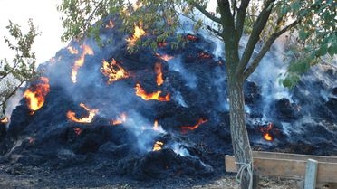 Çiftlikteki Yangında 10 Bin Liralık Saman Kül Oldu