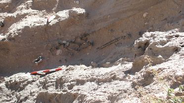 Nevşehir'de 10-12 Milyon Yıl Öncesine Ait Fosiller Bulundu