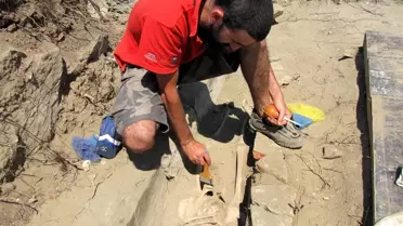 Parion'da Piskopos Mezarı Bulundu